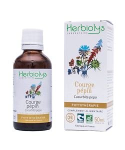 Herbiolys PHYTO Courge pépin 50mL BIO - Cucurbita pepo BIO, 50 ml